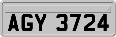 AGY3724