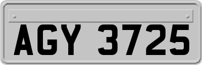 AGY3725