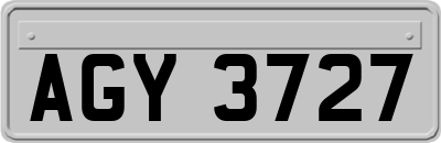AGY3727