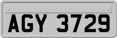AGY3729