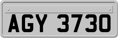 AGY3730