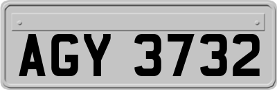 AGY3732