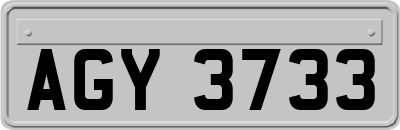 AGY3733