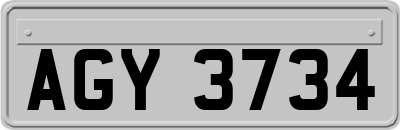 AGY3734
