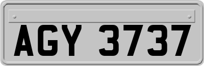 AGY3737