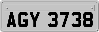 AGY3738