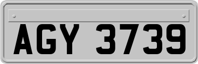 AGY3739