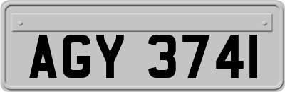 AGY3741