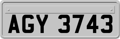 AGY3743
