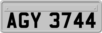AGY3744