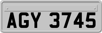 AGY3745