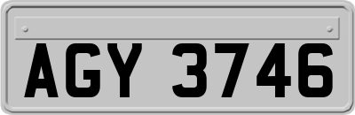 AGY3746