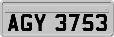 AGY3753