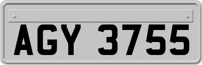 AGY3755