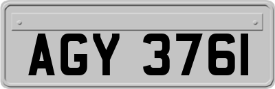 AGY3761