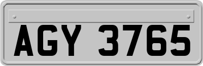 AGY3765
