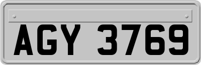 AGY3769