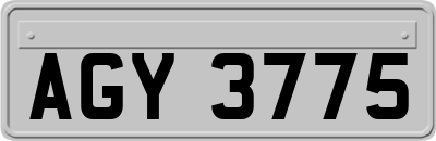 AGY3775