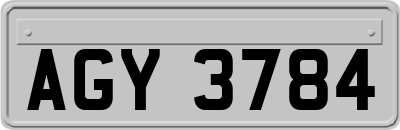 AGY3784