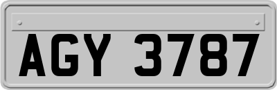 AGY3787