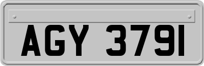 AGY3791