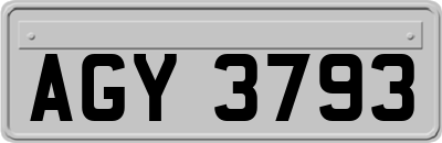 AGY3793
