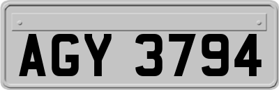 AGY3794