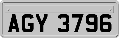 AGY3796