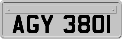 AGY3801