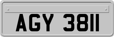 AGY3811