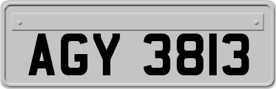 AGY3813
