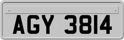 AGY3814
