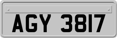 AGY3817