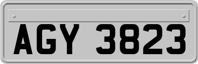AGY3823