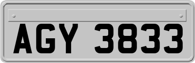 AGY3833