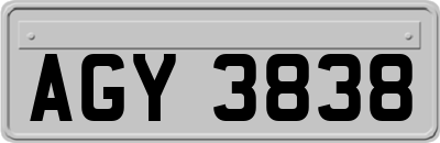 AGY3838