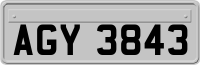 AGY3843