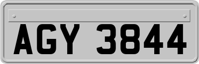 AGY3844