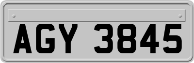 AGY3845