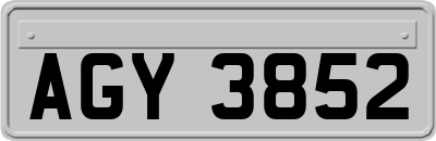 AGY3852