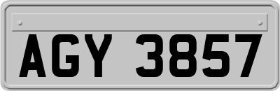 AGY3857