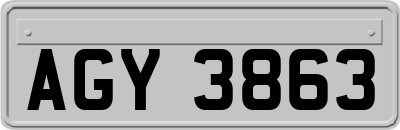 AGY3863
