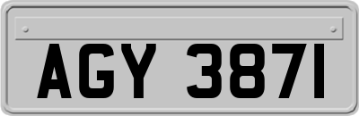AGY3871