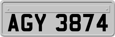 AGY3874
