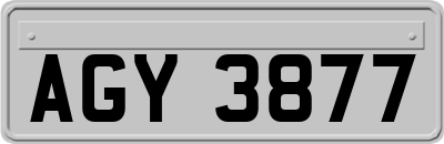 AGY3877