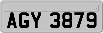 AGY3879