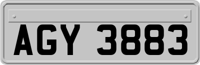 AGY3883