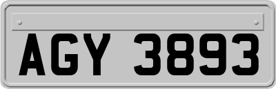 AGY3893