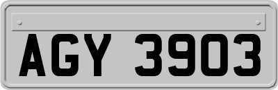 AGY3903