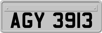 AGY3913